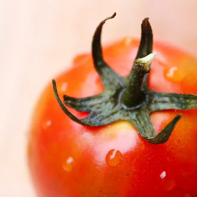 Hoe kan ik tomaten ontvellen
