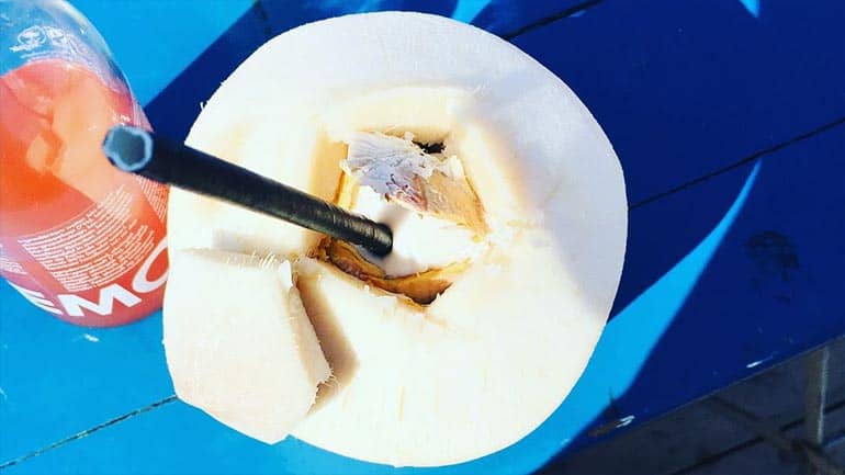 Cocosnoot op foodfestival