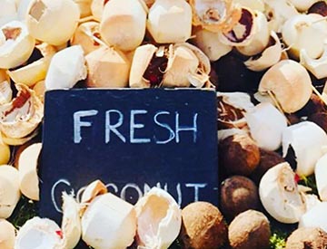 Fresh Coconut