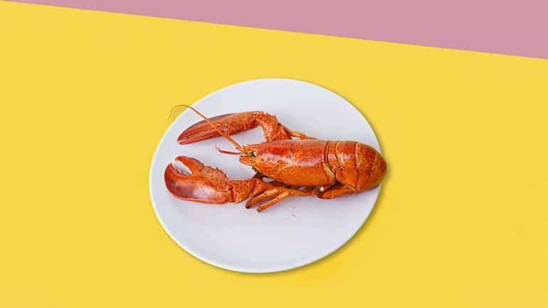 Kreeft maken zo doe je dat Kreeft maken zo doe je dat