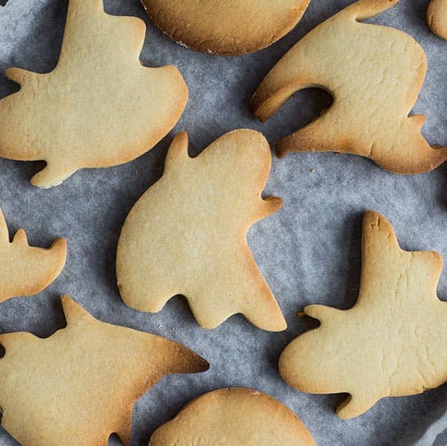 Halloween koekjes maken recept