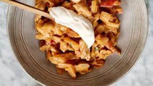 Stroganoff kip recept