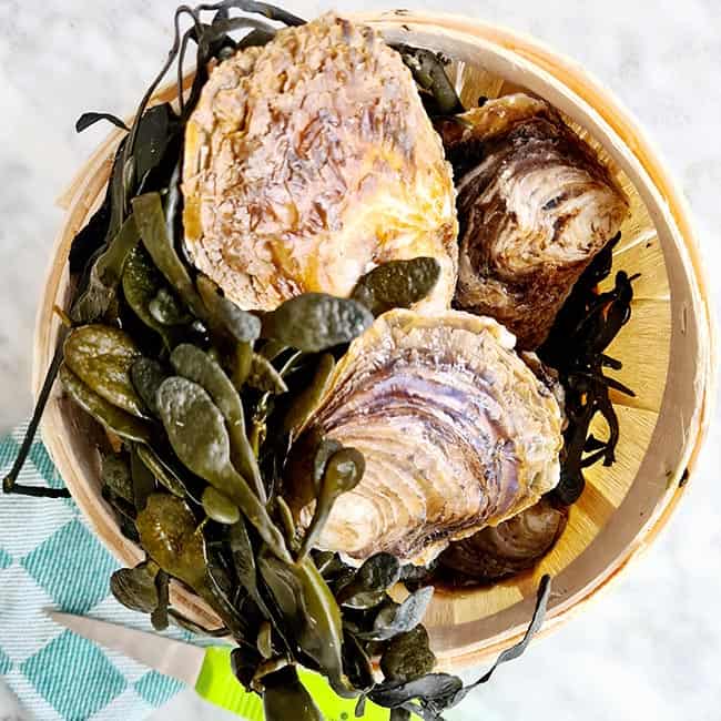 Oesters open maken Oesters open maken