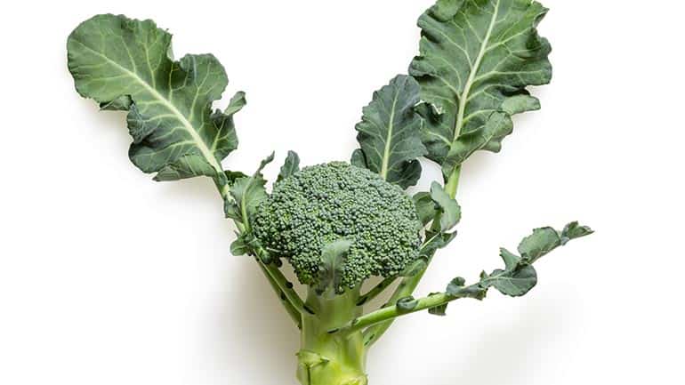 Mijn broccoli is geel