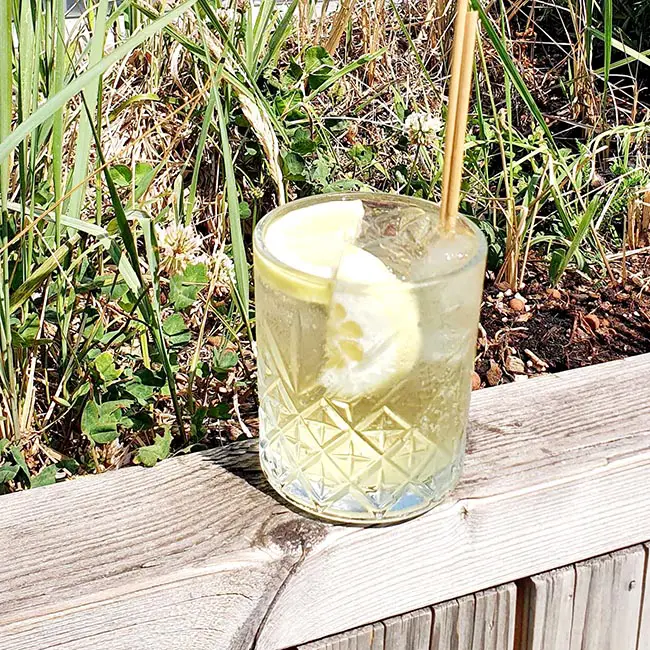Limoncello spritz drinken