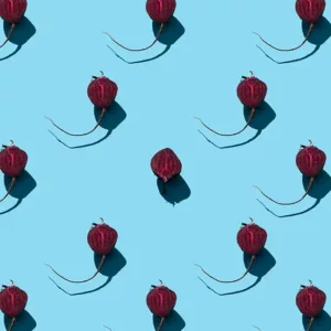 Rode bieten op toast