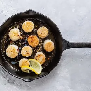 Coquille bakken