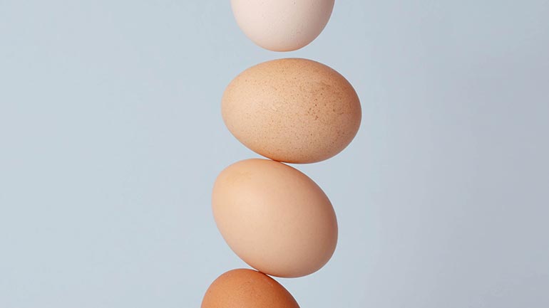 Verschil tussen bruine en witte eieren