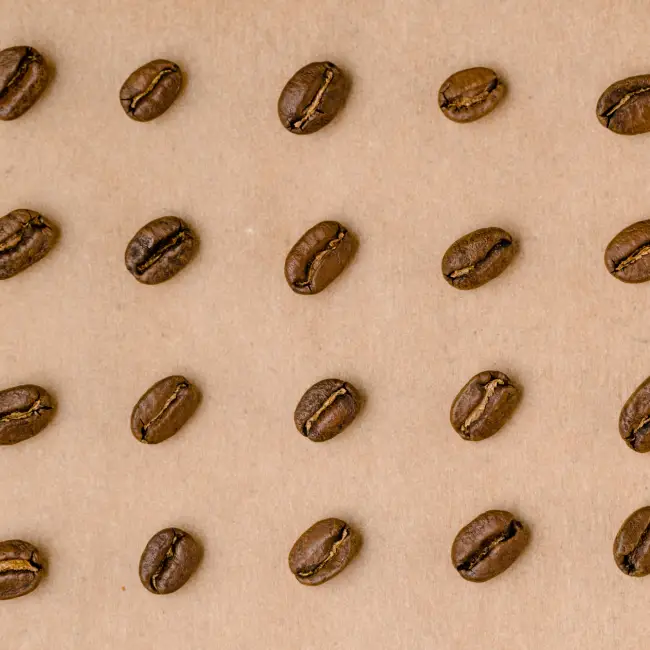 Welke koffie past bij jou routine