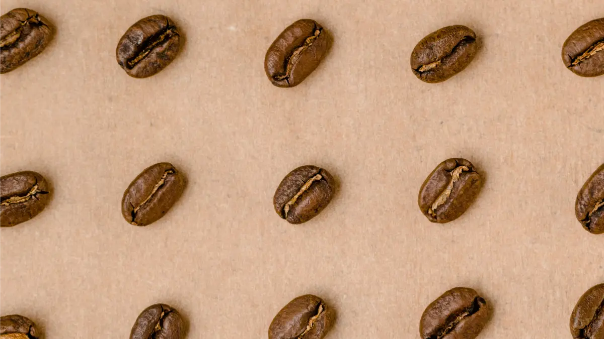 Welke koffie past bij jou?